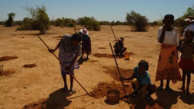 Suivez toutes les actualités de Madagascar en direct sur Malagasy News