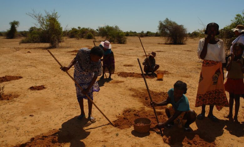 Suivez toutes les actualités de Madagascar en direct sur Malagasy News