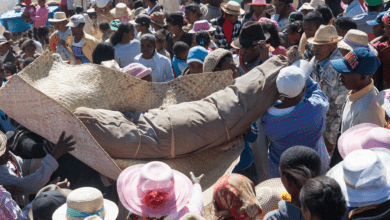 Suivez toutes les actualités de Madagascar en direct sur Malagasy News
