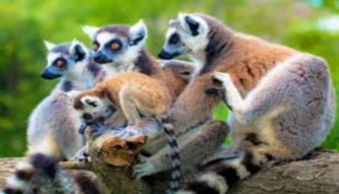 Suivez toutes les actualités de Madagascar en direct sur Malagasy News