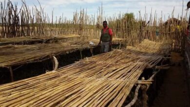 Suivez toutes les actualités de Madagascar en direct sur Malagasy News