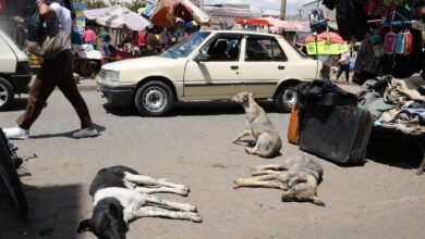 Suivez toutes les actualités de Madagascar en direct sur Malagasy News