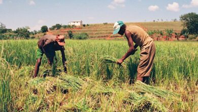 Suivez toutes les actualités de Madagascar en direct sur Malagasy News