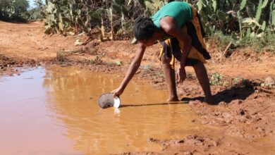Suivez toutes les actualités de Madagascar en direct sur Malagasy News