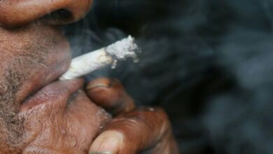 Suivez toutes les actualités de Madagascar en direct sur Malagasy News
