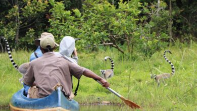 Suivez toutes les actualités de Madagascar en direct sur Malagasy News