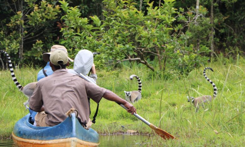 Suivez toutes les actualités de Madagascar en direct sur Malagasy News