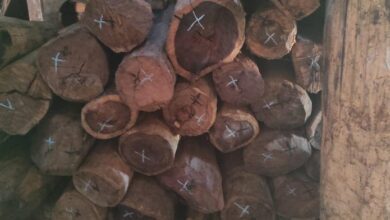 Suivez toutes les actualités de Madagascar en direct sur Malagasy News