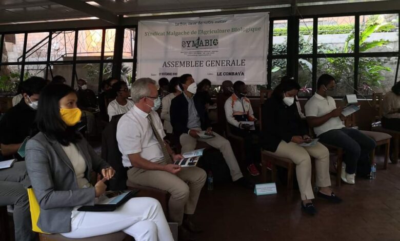 Suivez toutes les actualités de Madagascar en direct sur Malagasy News