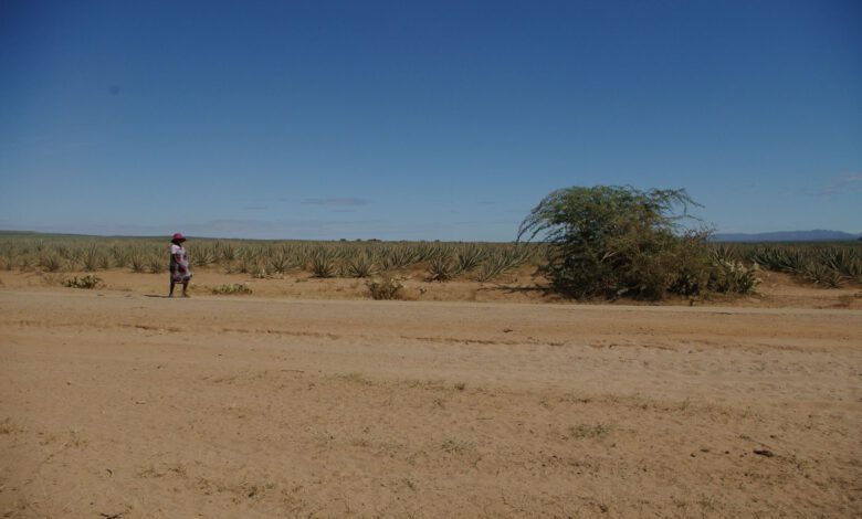 Suivez toutes les actualités de Madagascar en direct sur Malagasy News