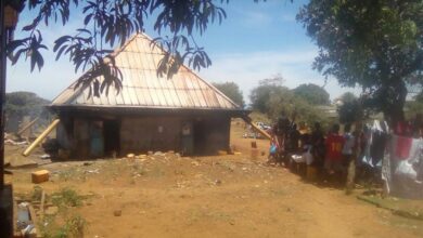 Suivez toutes les actualités de Madagascar en direct sur Malagasy News