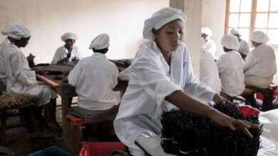 Suivez toutes les actualités de Madagascar en direct sur Malagasy News