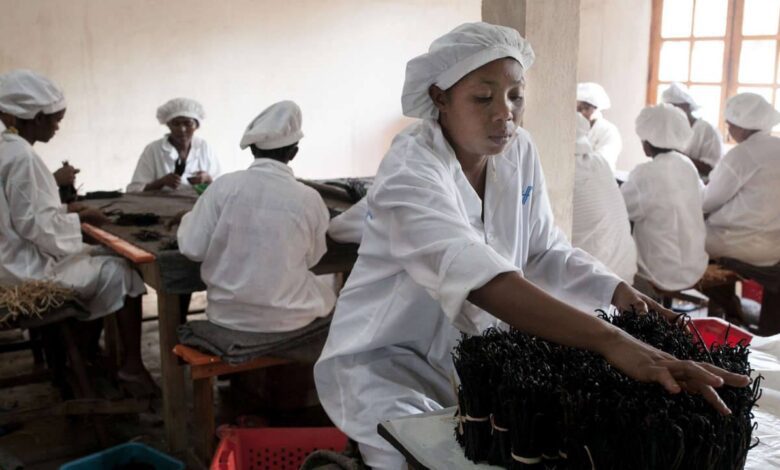 Suivez toutes les actualités de Madagascar en direct sur Malagasy News