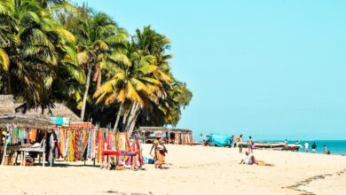Suivez toutes les actualités de Madagascar en direct sur Malagasy News