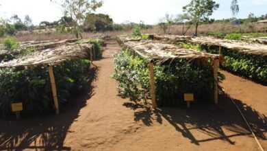 Suivez toutes les actualités de Madagascar en direct sur Malagasy News