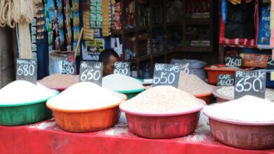 Suivez toutes les actualités de Madagascar en direct sur Malagasy News