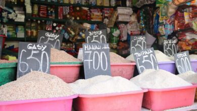 Suivez toutes les actualités de Madagascar en direct sur Malagasy News