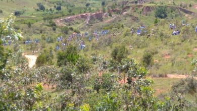 Suivez toutes les actualités de Madagascar en direct sur Malagasy News
