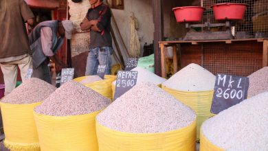 Suivez toutes les actualités de Madagascar en direct sur Malagasy News