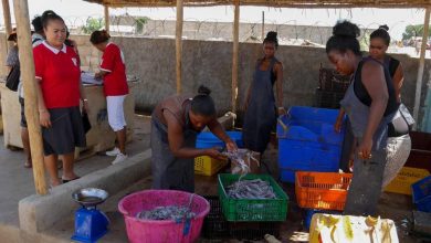 Suivez toutes les actualités de Madagascar en direct sur Malagasy News