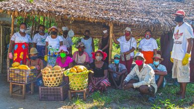 Suivez toutes les actualités de Madagascar en direct sur Malagasy News
