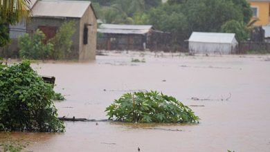 Suivez toutes les actualités de Madagascar en direct sur Malagasy News