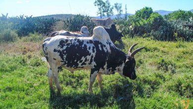 Suivez toutes les actualités de Madagascar en direct sur Malagasy News