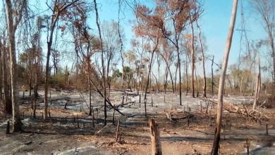 Suivez toutes les actualités de Madagascar en direct sur Malagasy News