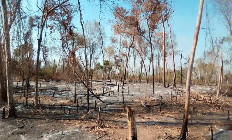 Suivez toutes les actualités de Madagascar en direct sur Malagasy News