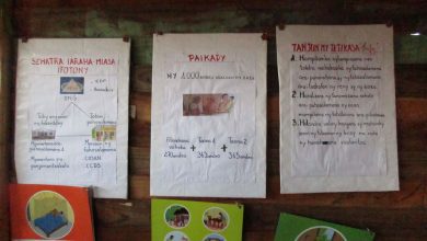 Suivez toutes les actualités de Madagascar en direct sur Malagasy News
