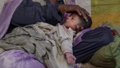 Suivez toutes les actualités de Madagascar en direct sur Malagasy News