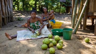 Suivez toutes les actualités de Madagascar en direct sur Malagasy News