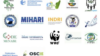 Suivez toutes les actualités de Madagascar en direct sur Malagasy News