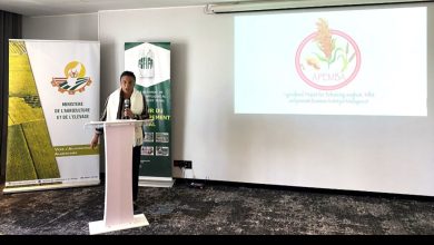 Suivez toutes les actualités de Madagascar en direct sur Malagasy News